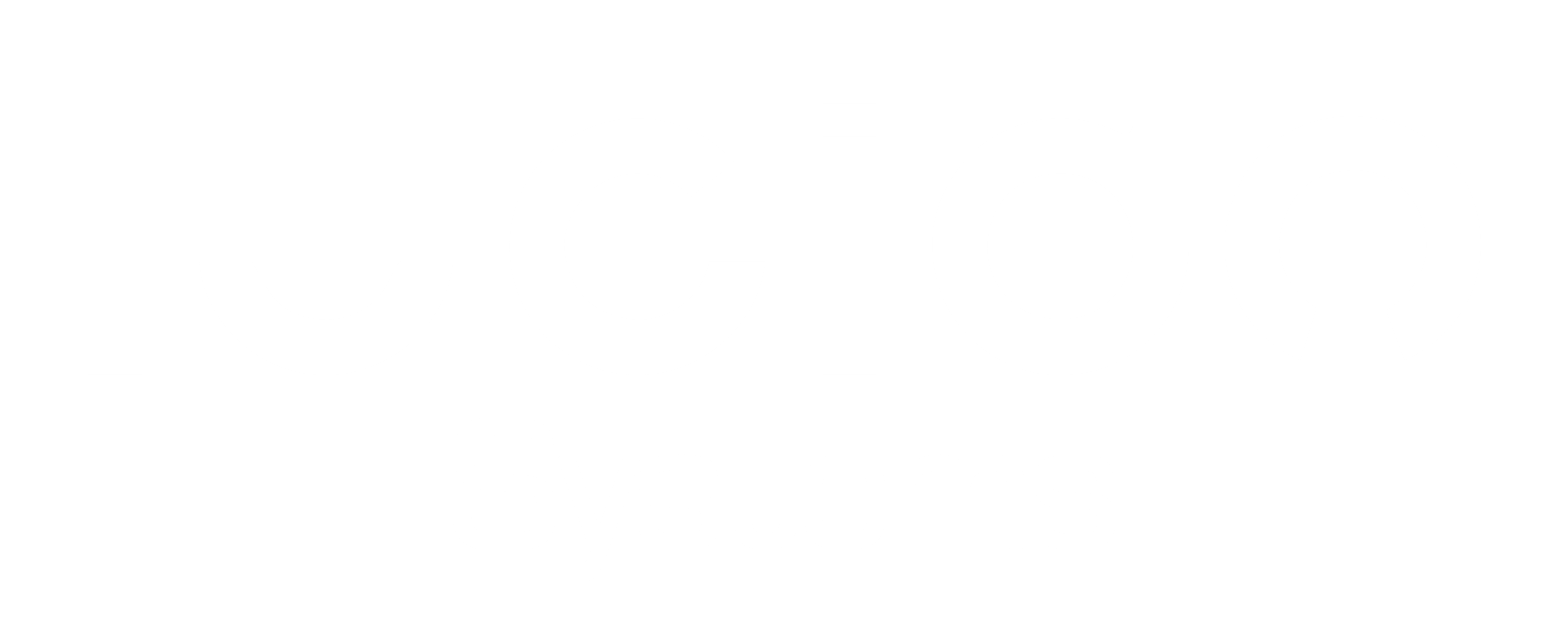 Lucido Systems